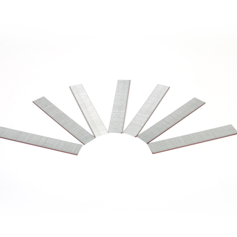 ARROW码钉枪钉子直钉T型钉T50RED 直钉 直排钉气排钉枪钉木工排钉美国进