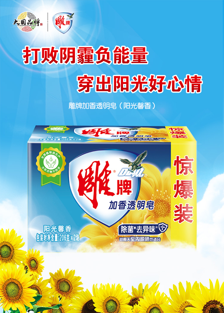 生活日用 清洁剂 肥皂 雕牌主体 环保功能 无磷 产地 浙江丽水 香型